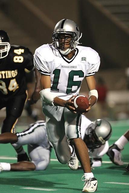 樱花盛开的 樱花盛开的