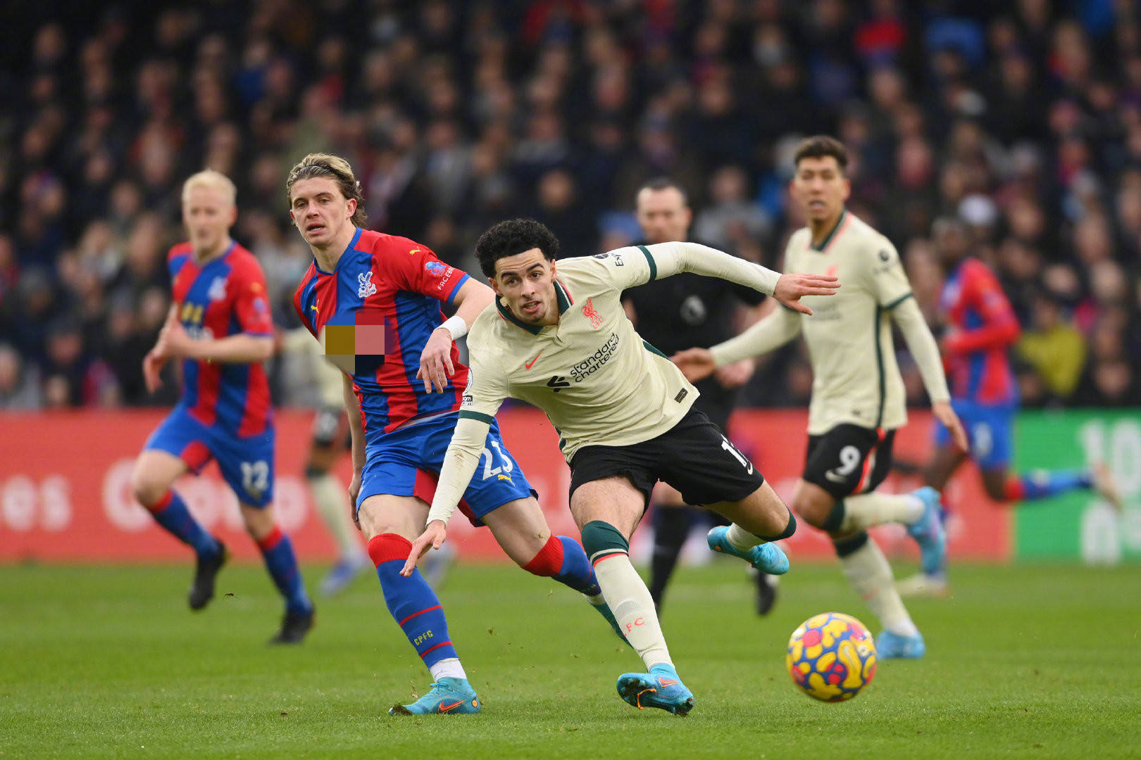 担心比赛中 担心比赛中