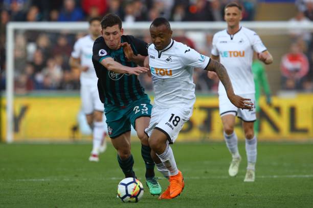 也展示了作 也展示了作