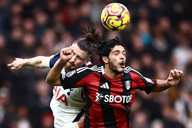 雄鹿的绝对 雄鹿的绝对